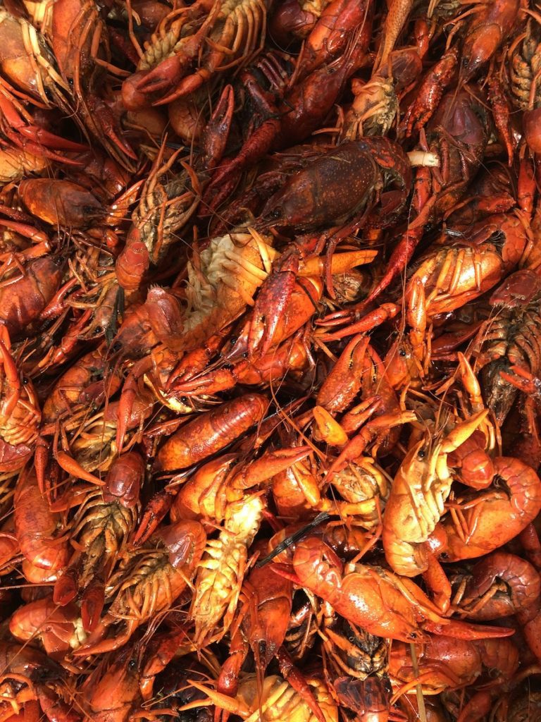 Snowbirds love crawfish