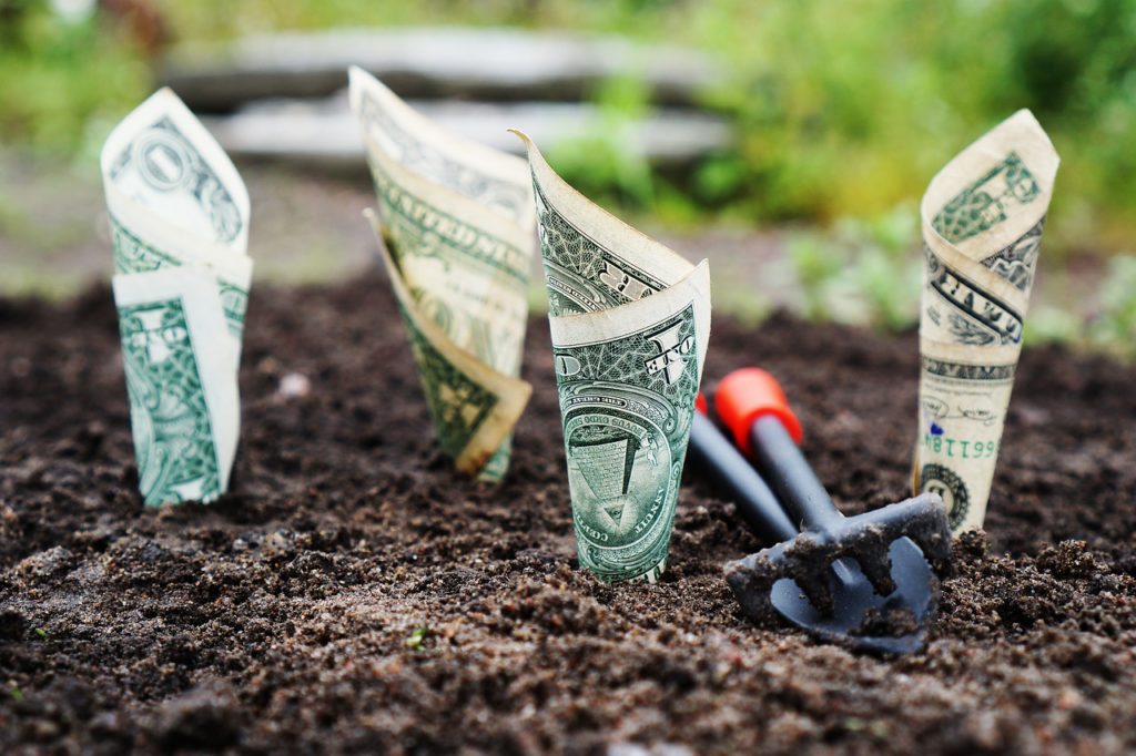 start saving shows money growing from garden