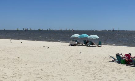 Best places now to live on the Gulf Coast