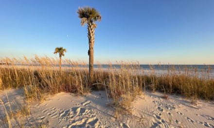Mississippi Gulf Coast – [Definition]