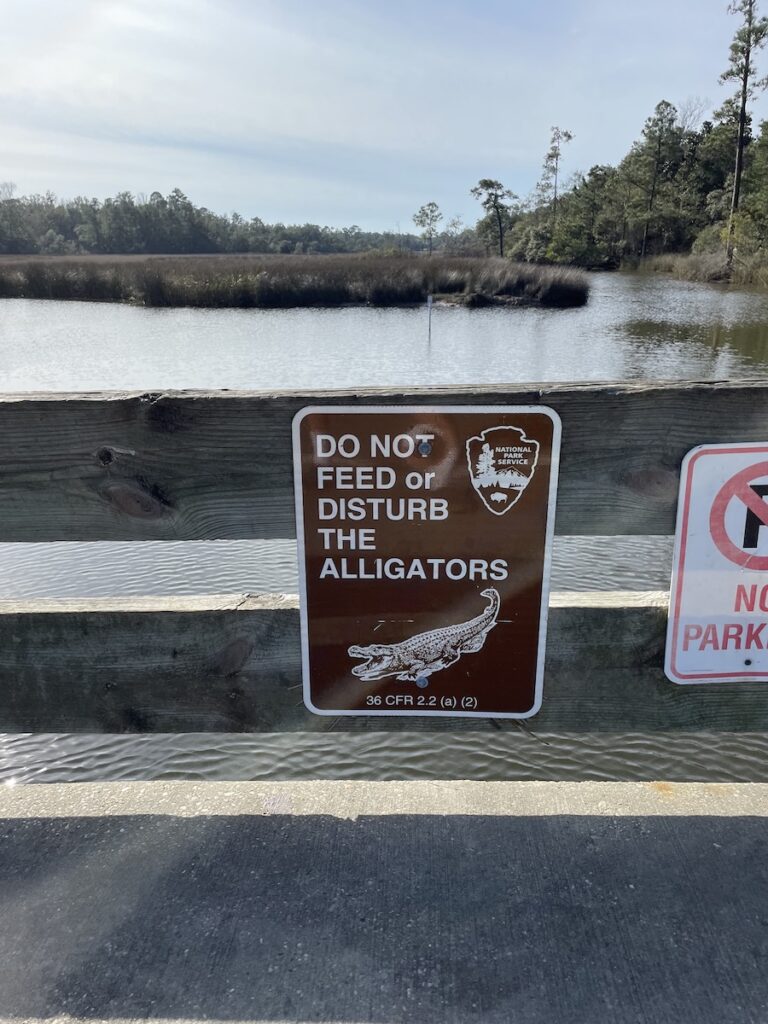 Snowbirds do not feed Alligators