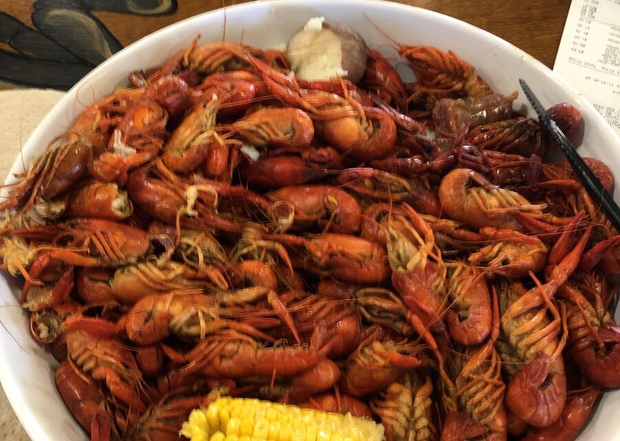 The Best Southern,Creole, and Cajun food: Mississippi Gulf Coast