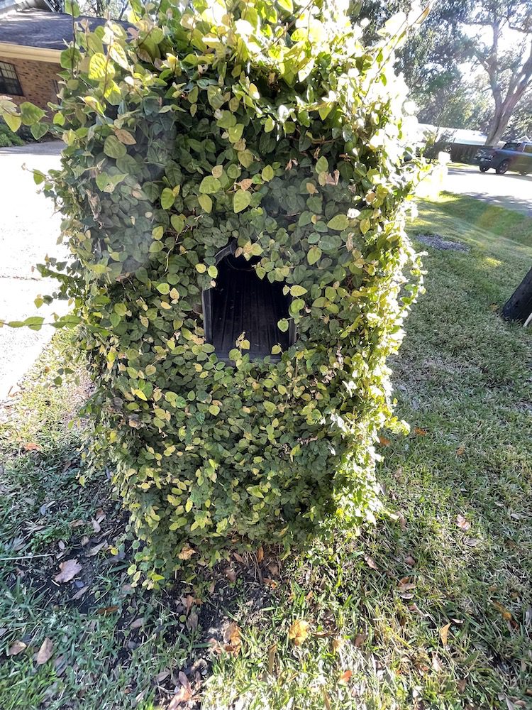 hidden mailbox