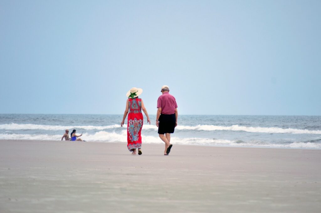 snowbirds walking on the beach