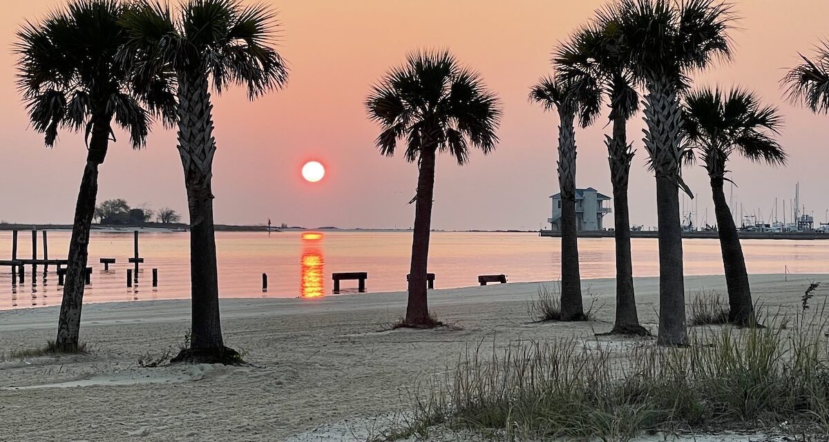 Why Florida? Consider the best alternative now before moving