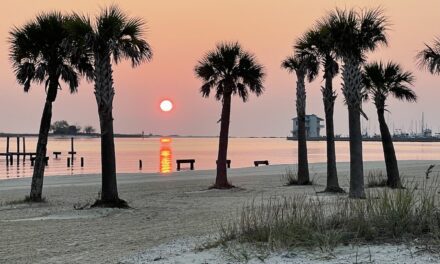 Why Florida? Consider the best alternative now before moving