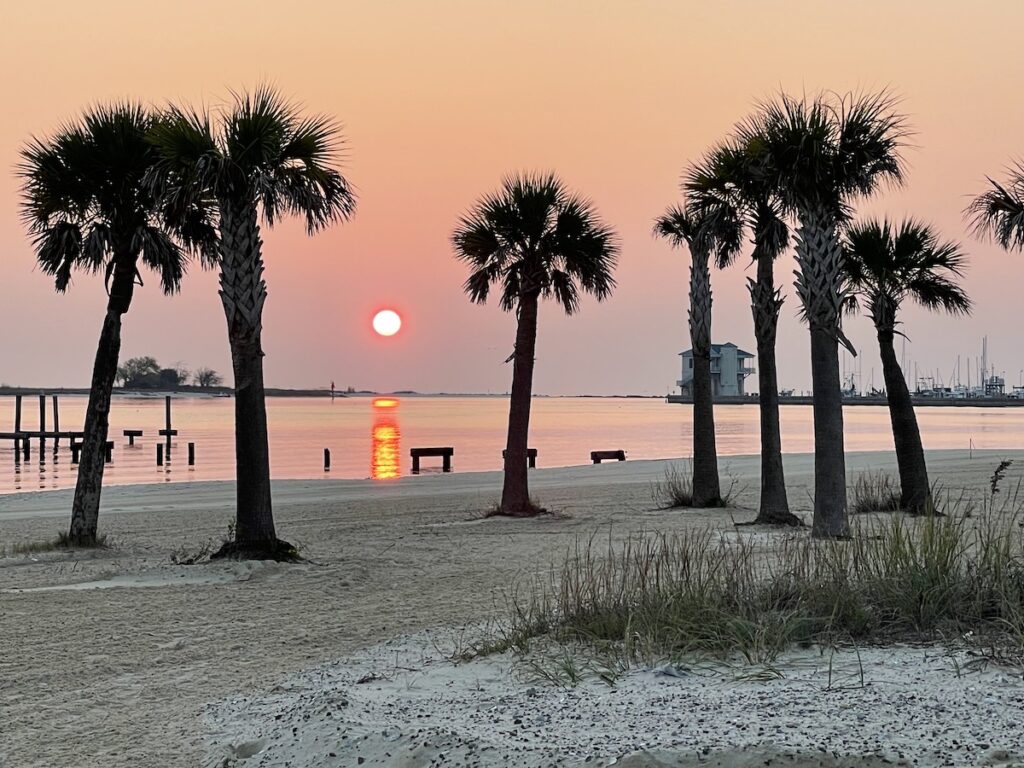 the beach at sunset palm trees