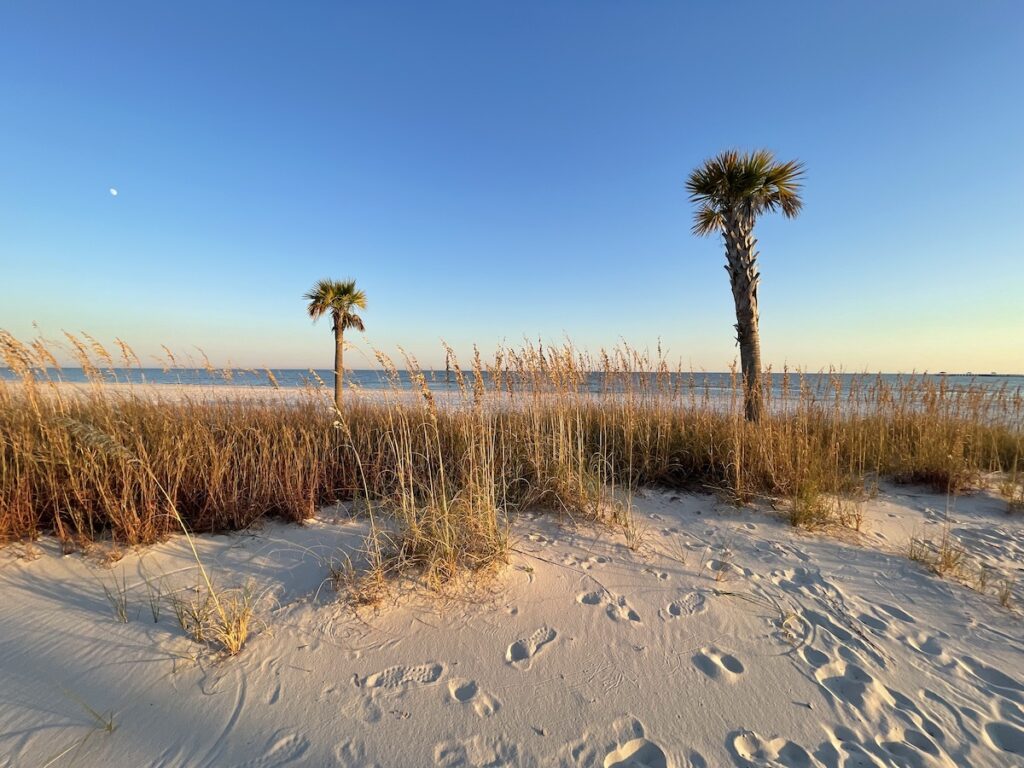 walking on the sand the beach 