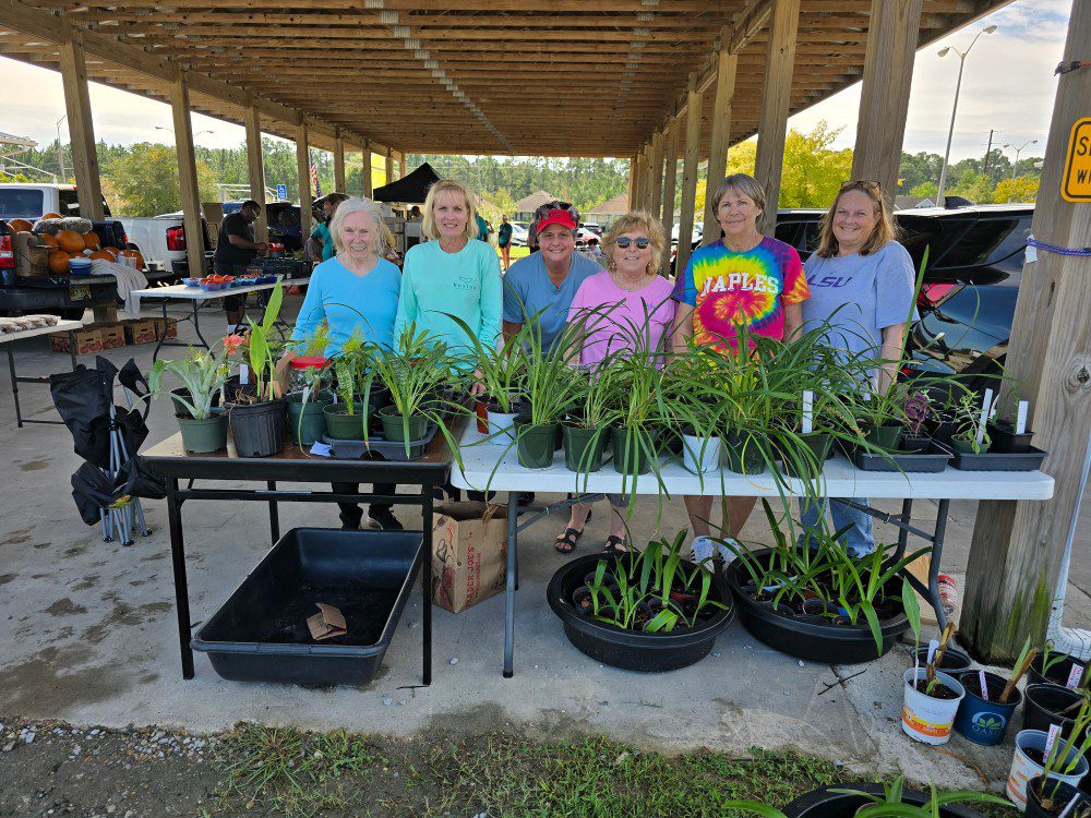 bay-waveband garden club members