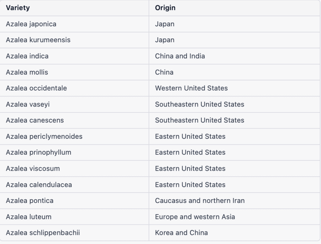 table azaleas with variety and source