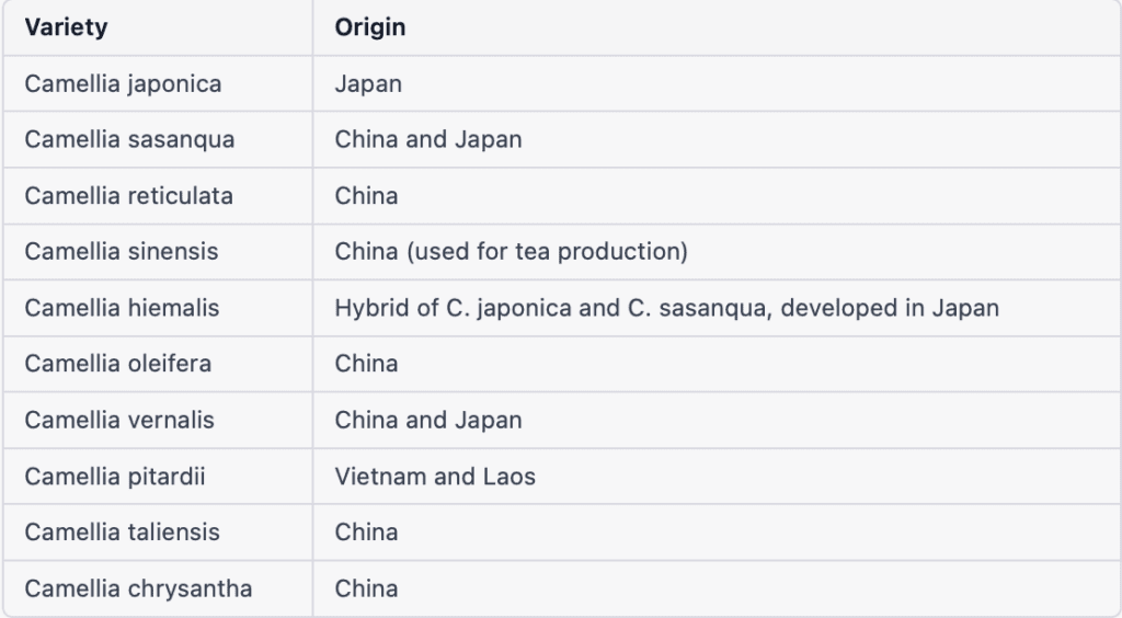 table varieties of camellias with origin