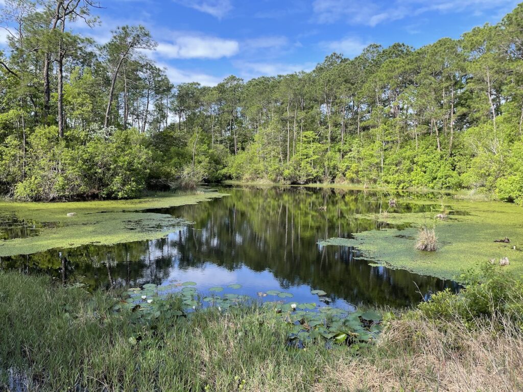 Gulf Islands National Seashore entrance