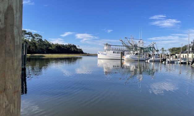 Why I Decided to Retire in Ocean Springs, Mississippi