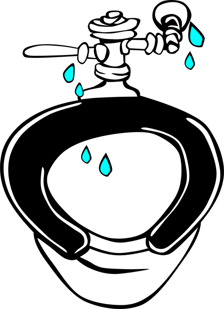 leaking toilet