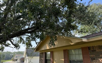 Trim your trees now or lose homeowners insurance coverage