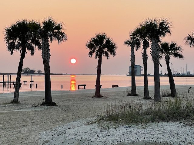 beach trees at sunset on the beach in Biloxi looking at deer island