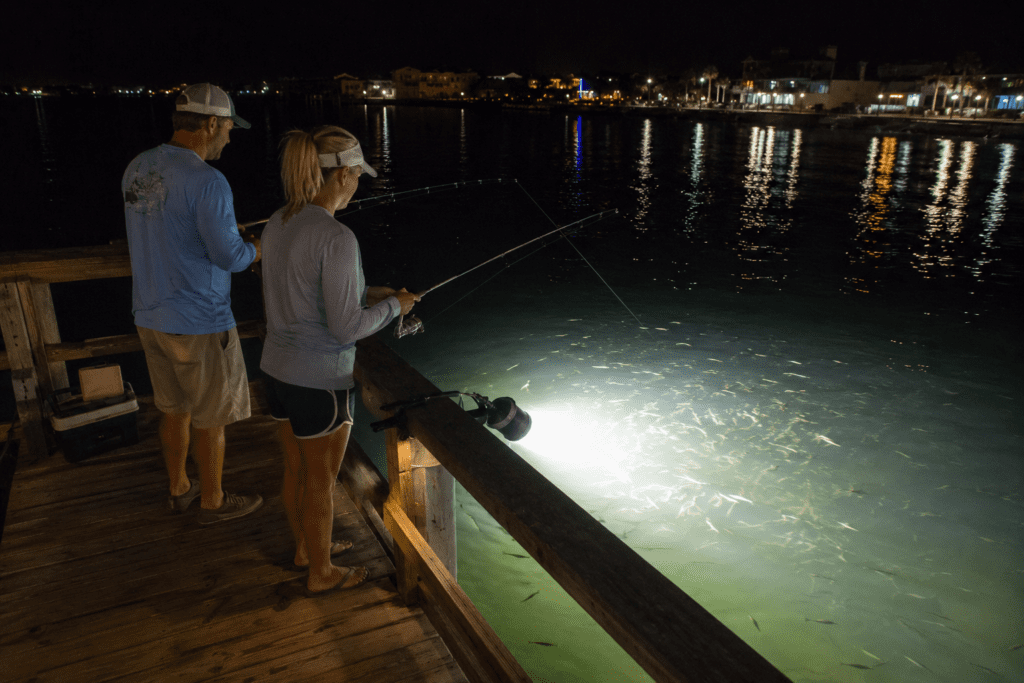 Night fishing under dock lights is extremely popular on the Mississippi Gulf Coast because the lights attract baitfish, shrimp, speckled trout, redfish, and other predators feeding after dark.