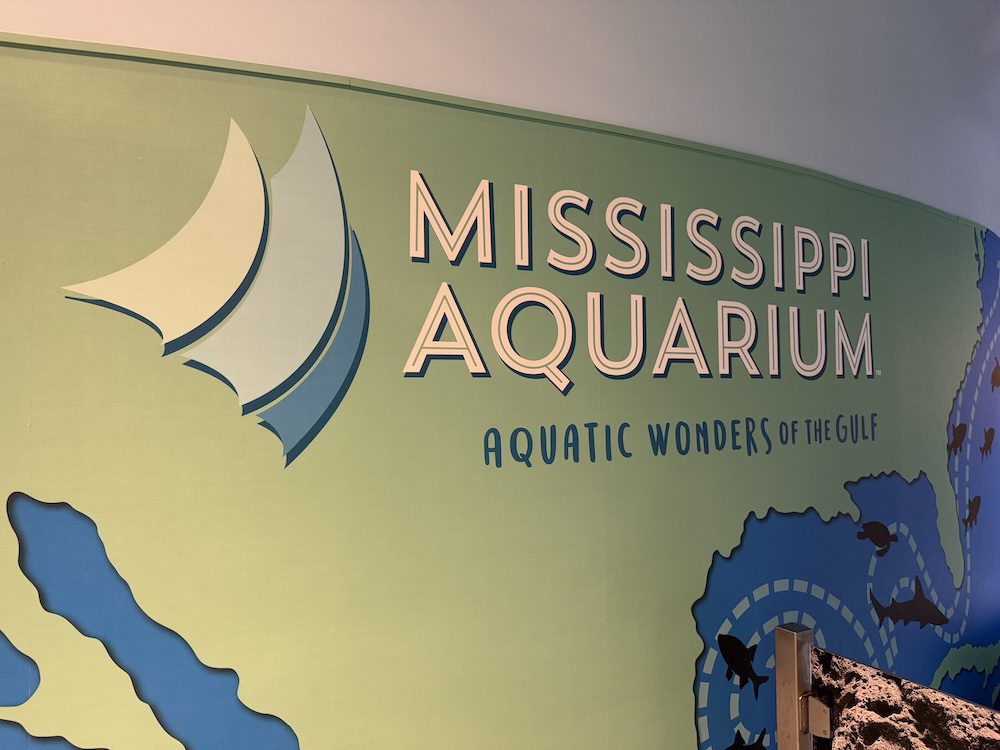 Marine life display at the Mississippi Aquarium on the Mississippi Gulf Coast
