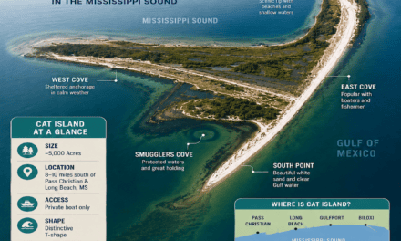 Cat Island Mississippi Guide (2026): History, Beaches, Fishing, Homes & Wildlife