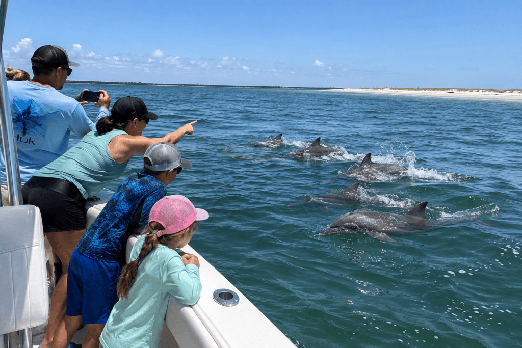 Family aboard a boat watching a pod of bottlenose dolphins swimming alongside near Ship Island in the Mississippi Gulf Islands National Seashore on a sunny day.