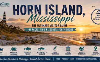 Horn Island, Mississippi: The Ultimate Visitor Guide